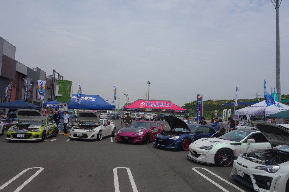 CARFES
