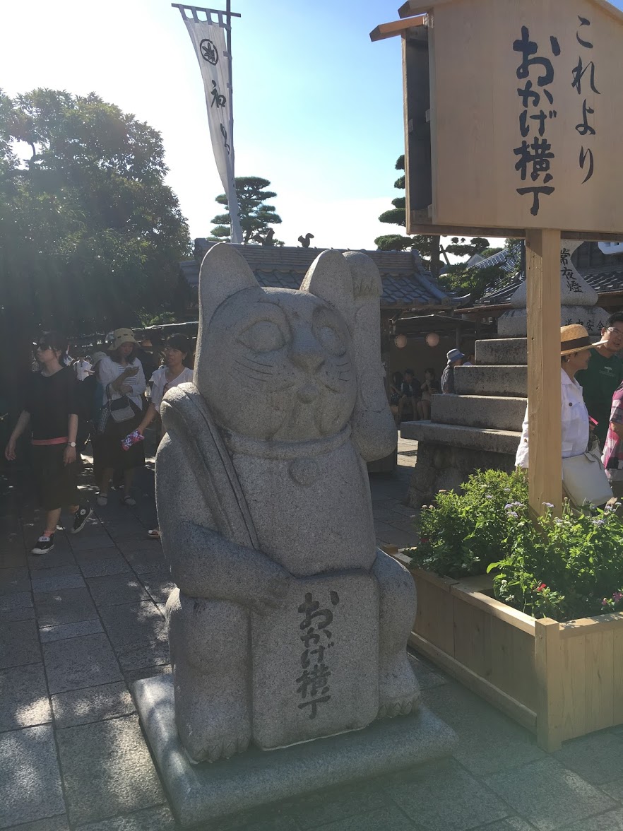 Photo by Asuka Yuikawa