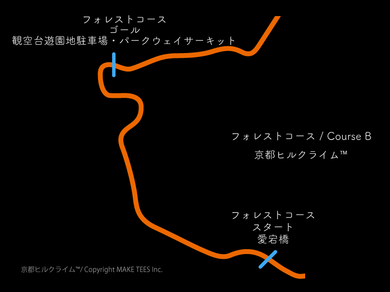決勝区間コースB(出典:http://special-stage.racing/)