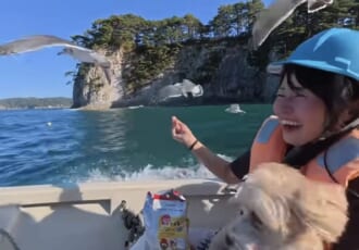 【わんこと全国旅#7】感動の絶景リベンジ成功！愛犬と味わう岩手の「最高すぎる」グルメと癒やしの舟下り