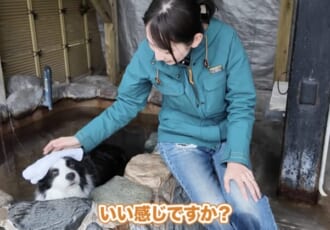 【わんこと全国旅#29】愛犬と巡る岡山キャンピングカー旅。温泉・旬の味覚・最新設備で叶える自由な休日