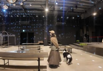 【わんこと全国旅#23】旅の安全と自由を求めて。愛犬とキャンピングカー「オステリア」で巡る大阪・特別編の記録