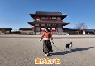 【わんこと全国旅#31】42連泊の旅、最終章は古都・奈良へ。キャンピングカーで巡る歴史と美食の1ヶ月半