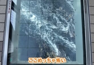 【わんこと全国旅#30】愛犬とキャンピングカーで巡る四国。高知の美食と徳島の静寂に触れる、自由気ままな車中泊旅